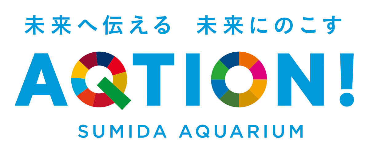 AQTION_sumida